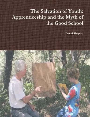 The Salvation Of Youth: Apprenticeship And The Myth Of The Good School 1