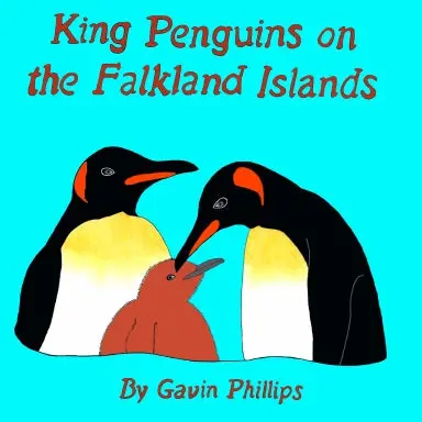 King Penguins On The Falkland Islands 1