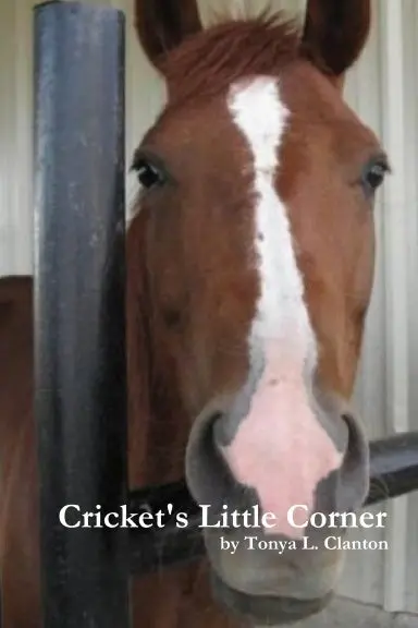 Cricket's Little Corner 1