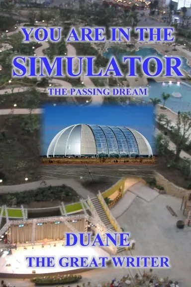 You Are In The Simulator The Passing Dream 1