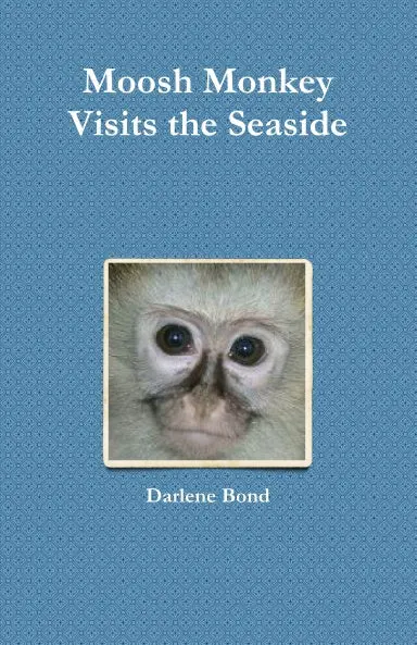 Moosh Monkey Visits The Seaside 1
