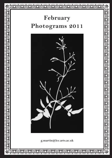 February Photograms 2011 1