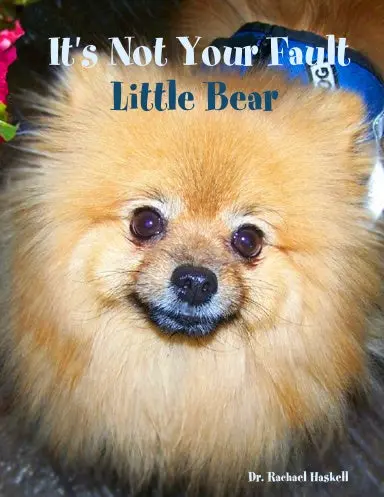 It's Not Your Fault Little Bear 1