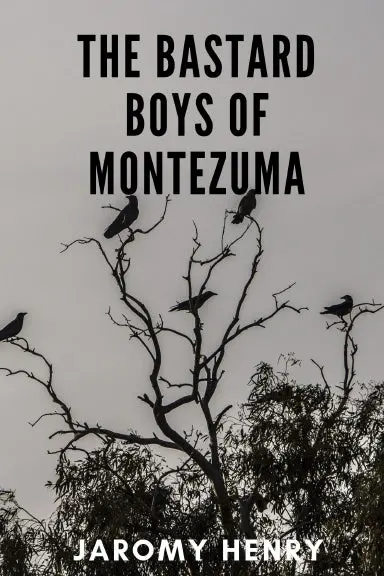 The Bastard Boys Of Montezuma 1