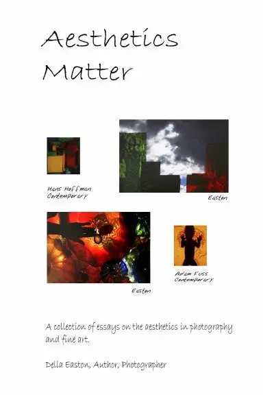 Aesthetics Matter 1