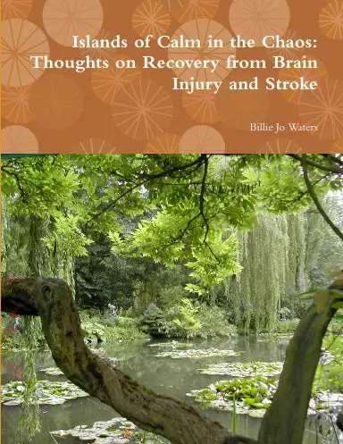 Islands Of Calm In The Chaos:  Thoughts On Recovery From Brain Injury And Stroke 1