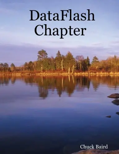 Dataflash Chapter 1