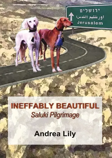 Ineffably Beautiful: Saluki Pilgrimage 1