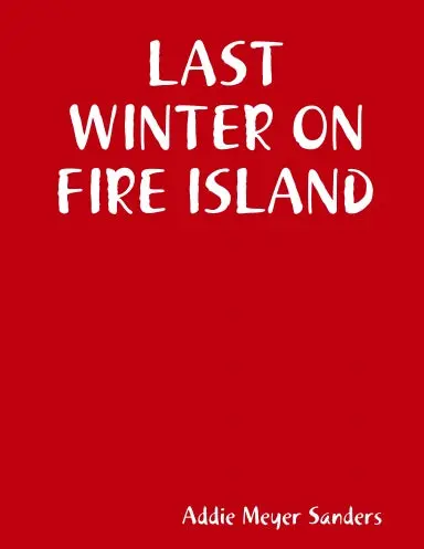 Last Winter On Fire Island 1