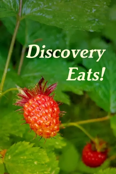 Discovery Eats! 1