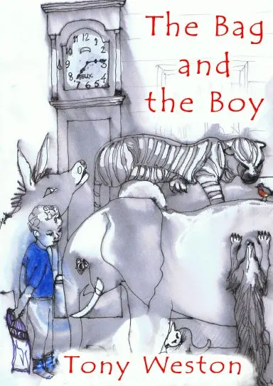 The Bag And The Boy 1