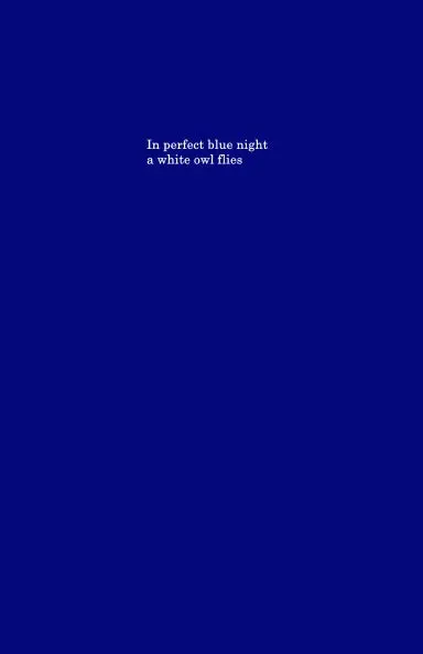 In Perfect Blue Night A White Owl Flies 1