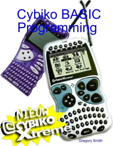 Cybiko Basic Programming 1