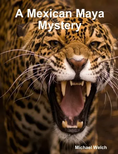 A Mexican Maya Mystery 1