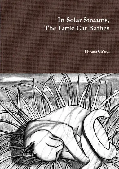 In Solar Streams, The Little Cat Bathes 1
