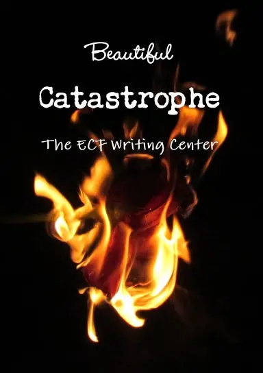 Beautiful Catastrophe 1