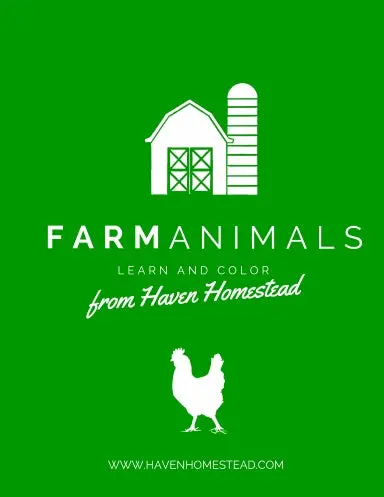 Farm Animals Color And Learn 1