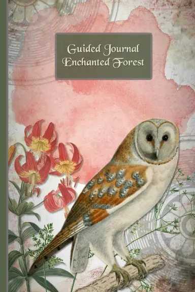 Guided Journal Enchanted Forest | Illustrated Writing Prompts Gratitude Journal Paperback 1