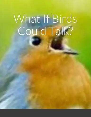 What If Birds Could Talk? 1