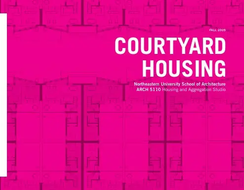 Courtyard Housing 1