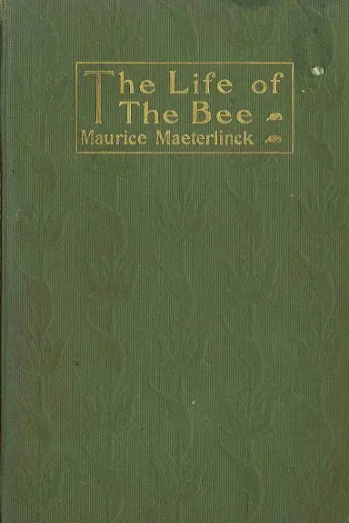 Life Of The Bee 1