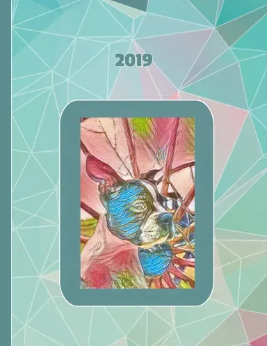 2019 Planner - Save Korean Dogs Rescue Ii French Boxer 1