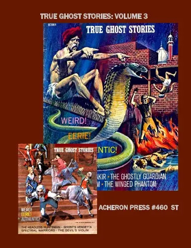 True Ghost Stories Volume 3 Softcover Standard Color 1