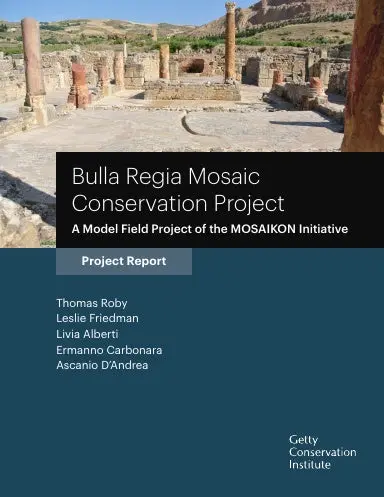 Bulla Regia Mosaic Conservation Project 1