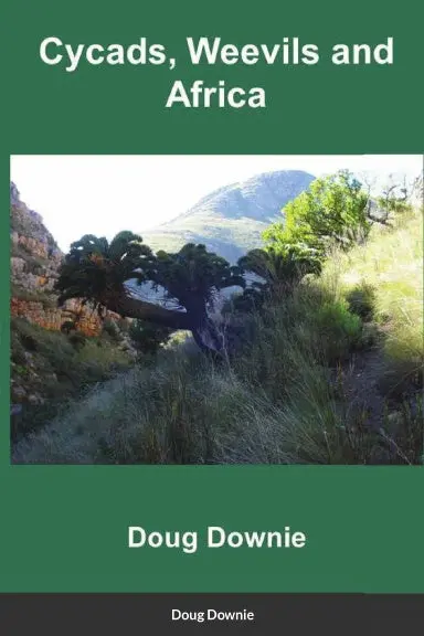 Cycads, Weevils, And Africa 1
