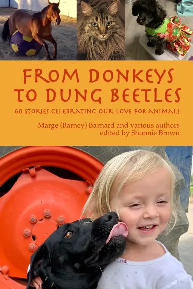 From Donkeys To Dung Beetles 1