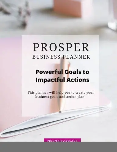 Prosper Business Planner 1