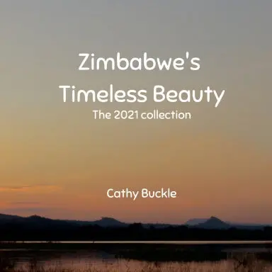 Zimbabwe's Timeless Beauty:  The 2021 Collection (Paperback) 1