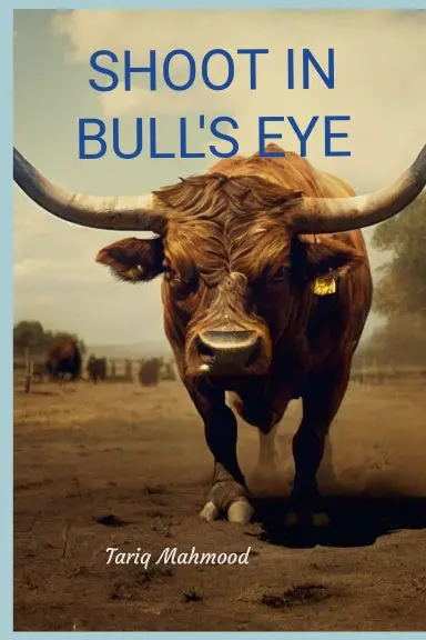 Shoot In Bull's Eye 1