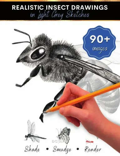 Realistic Insect Drawing In Light Grey Sketches 1