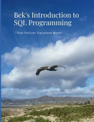 Bek's Introduction To Sql Programming 1