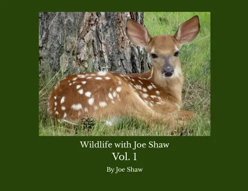 Wildlife With Joe Shaw Vol. 1 1