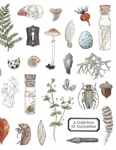 A Collection Of Curiosities (Coil Bound) 1