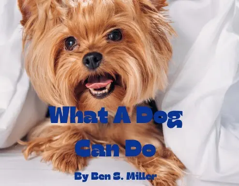 What A Dog Can Do 1