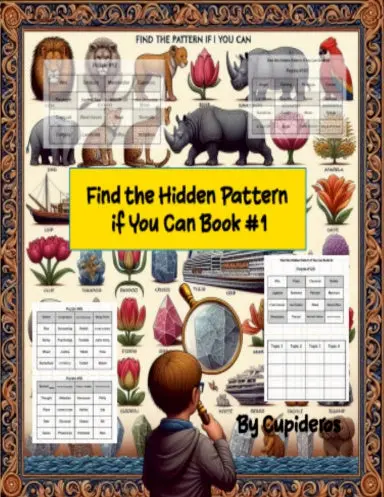 Find The Hidden Pattern If You Can Book #1 1
