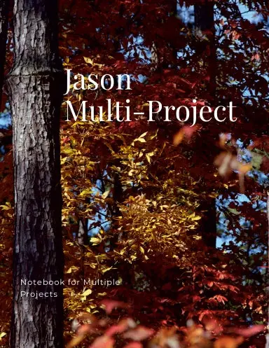 Jason Multi-Project 1