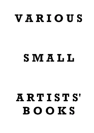 Various Small Artists' Books 1