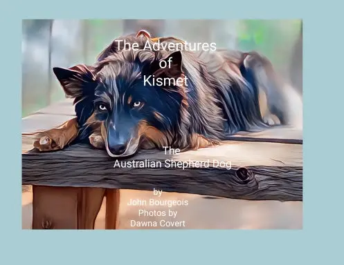 The Adventures Of Kismet, The Australian Shepherd Dog 1
