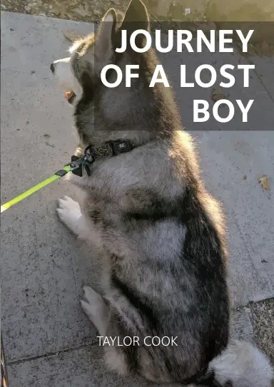 Journey Of A Lost Boy 1