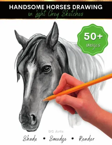 Handsome Horses Drawing In Light Grey Sketches 1