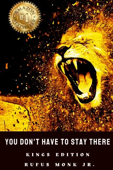 You Don't Have To Stay There - Rufus Monk Jr. 1