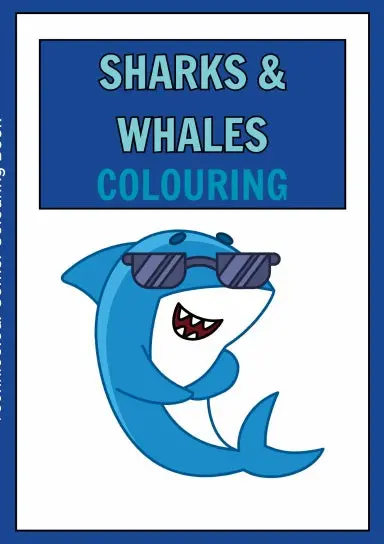 Sharks & Whales Colouring Book For Kids 1