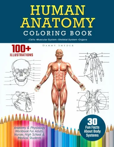 Human Anatomy Coloring Book: 100+ Illustrations In The Anatomy & Physiology Workbook For Adults, Nurses, High School & Medical Students With 30 Fun Facts About Body Systems 1