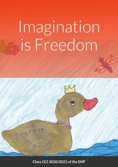 Imagination Is Freedom 1