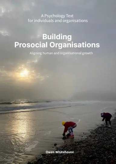 Prosocial Organisations 1