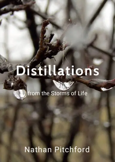 Distillations From The Storms Of Life 1